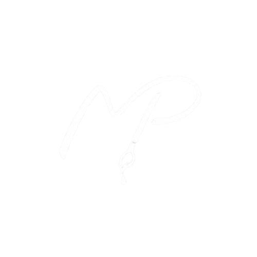 Mr.Paint